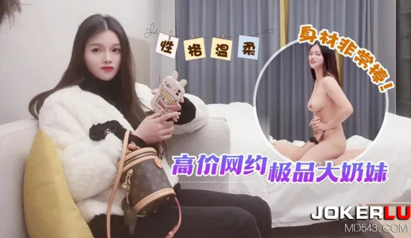 高價網約極品大奶妹