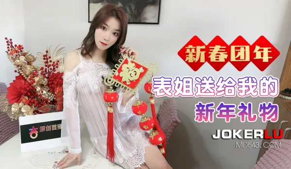 表姐送給我的新年禮物