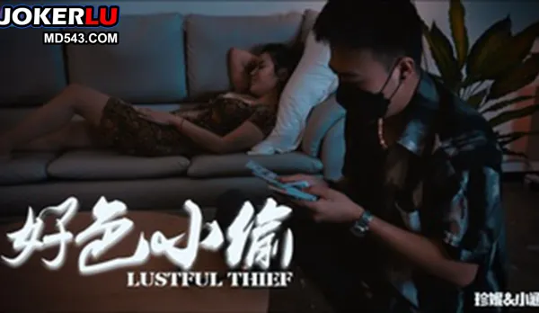 69FILMS1046 好色的小偷
