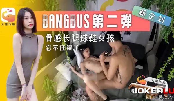 dx-005 壞壞性愛專車