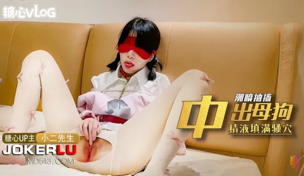 內射中出小賤狗